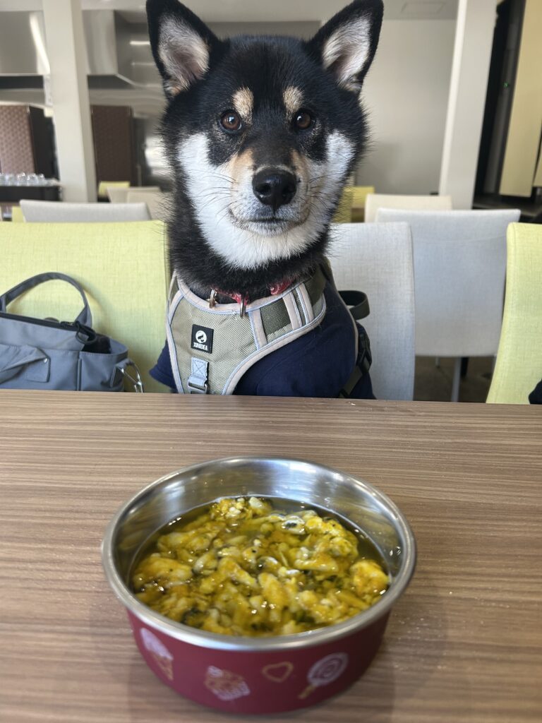 犬同伴OKの山梨ほうとうランチ